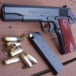 Meet your Posher, Albert